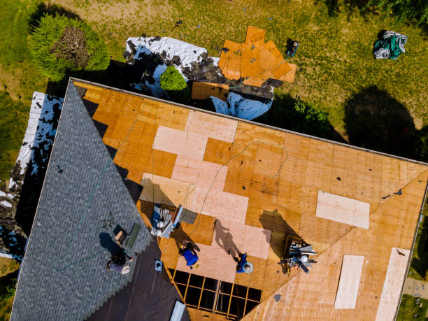 Best Roof Replacement Cost  in Alexandria, MN