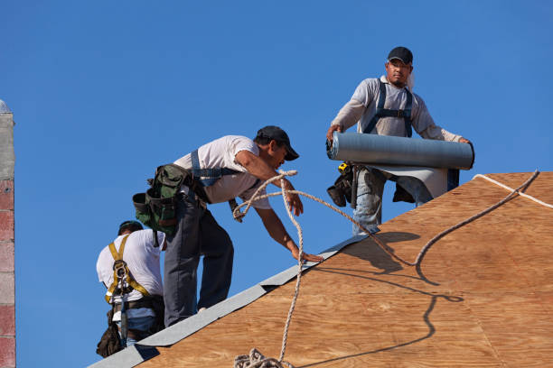 Roof Gutter Cleaning in Alexandria, MN