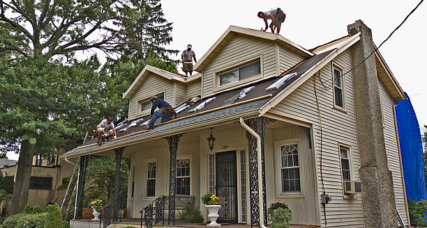 Best Roof Gutter Cleaning  in Alexandria, MN