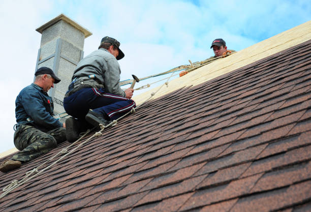 Professional Roofing Contractor in Alexandria, MN