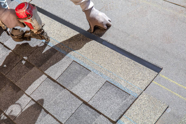 Best Roof Replacement Cost  in Alexandria, MN